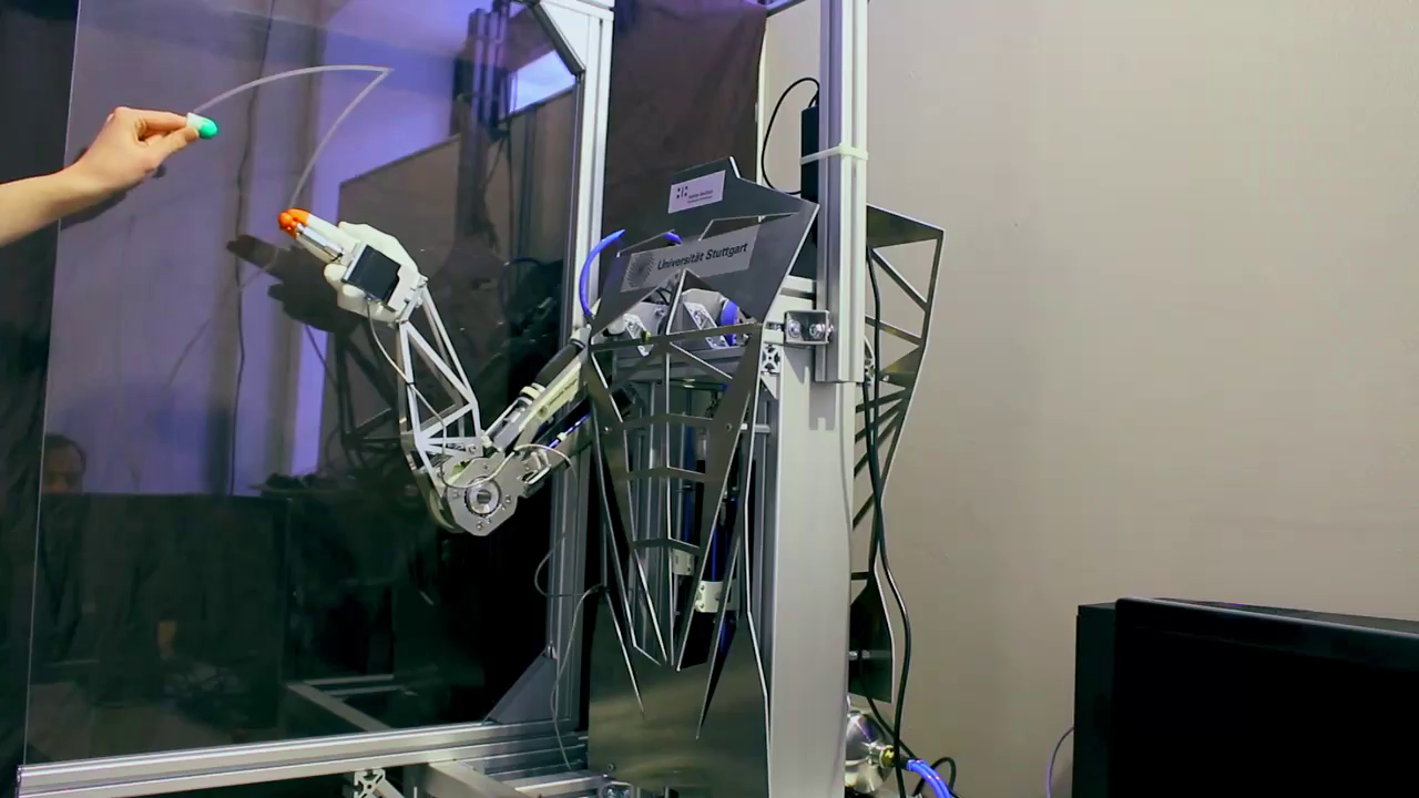 Muscle-driven biorobotics to study autonomous motion 