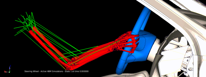 An active human body model manipulating the steering wheel