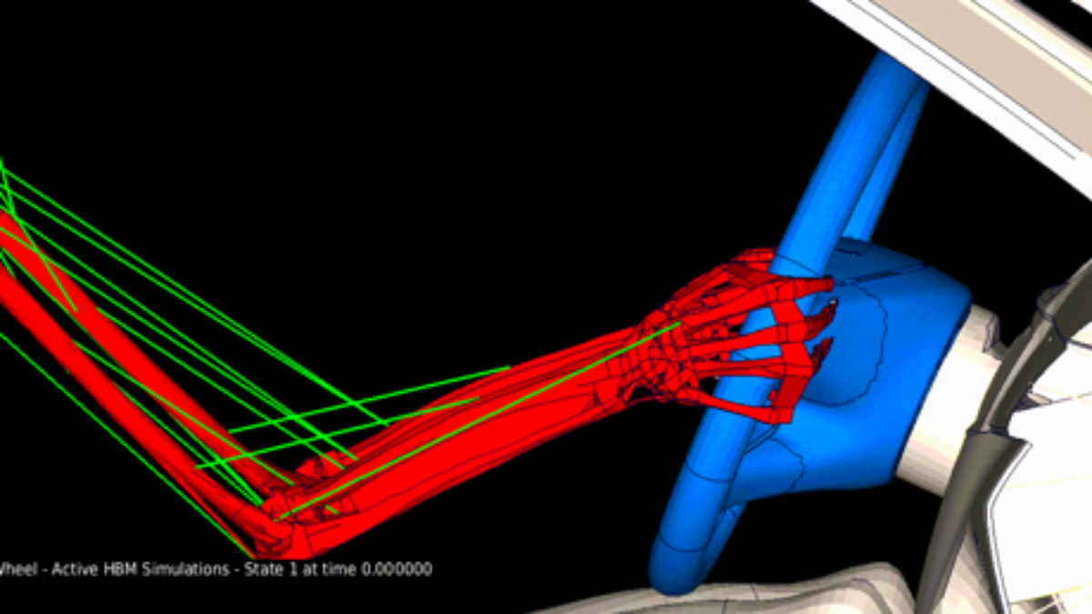 An active human body model manipulating the steering wheel