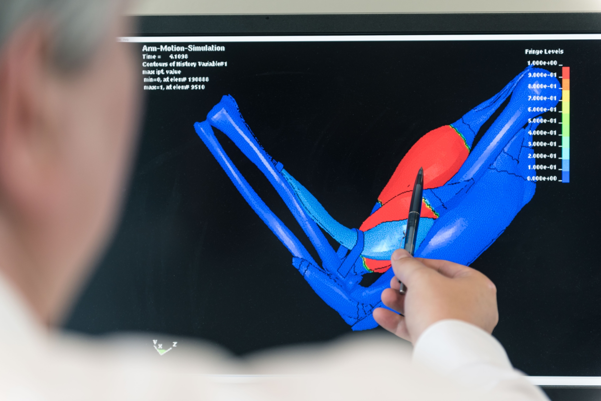 Continuum-Mechanical Multi-Muscle System Models