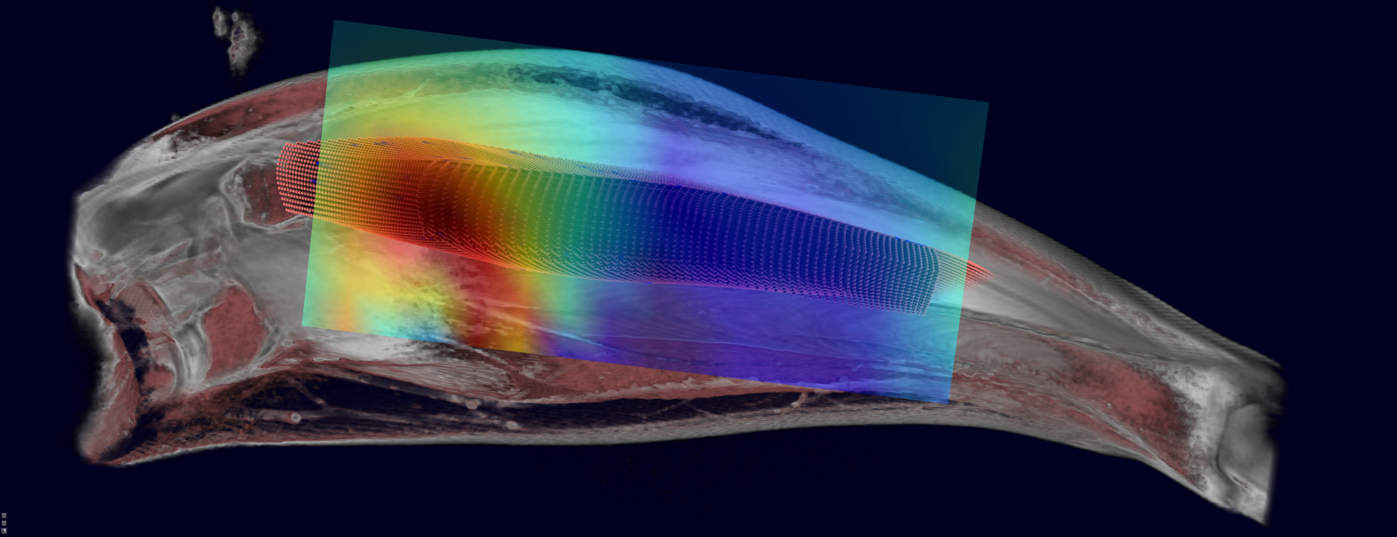 Chemo-Electro-Mechanical Skeletal Muscle Modelling 